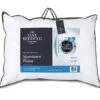 The Fine Bedding Company Spundown Firm Support Pillow -Home Furnishing Store 1192 22105