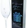 Dartington Glitz Champagne Flute -Home Furnishing Store 23302 20066