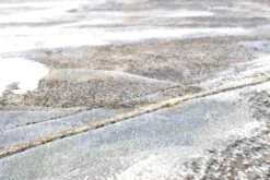 Mastercraft Galleria Runner - 063-0529/2626 -Home Furnishing Store 38661 12859